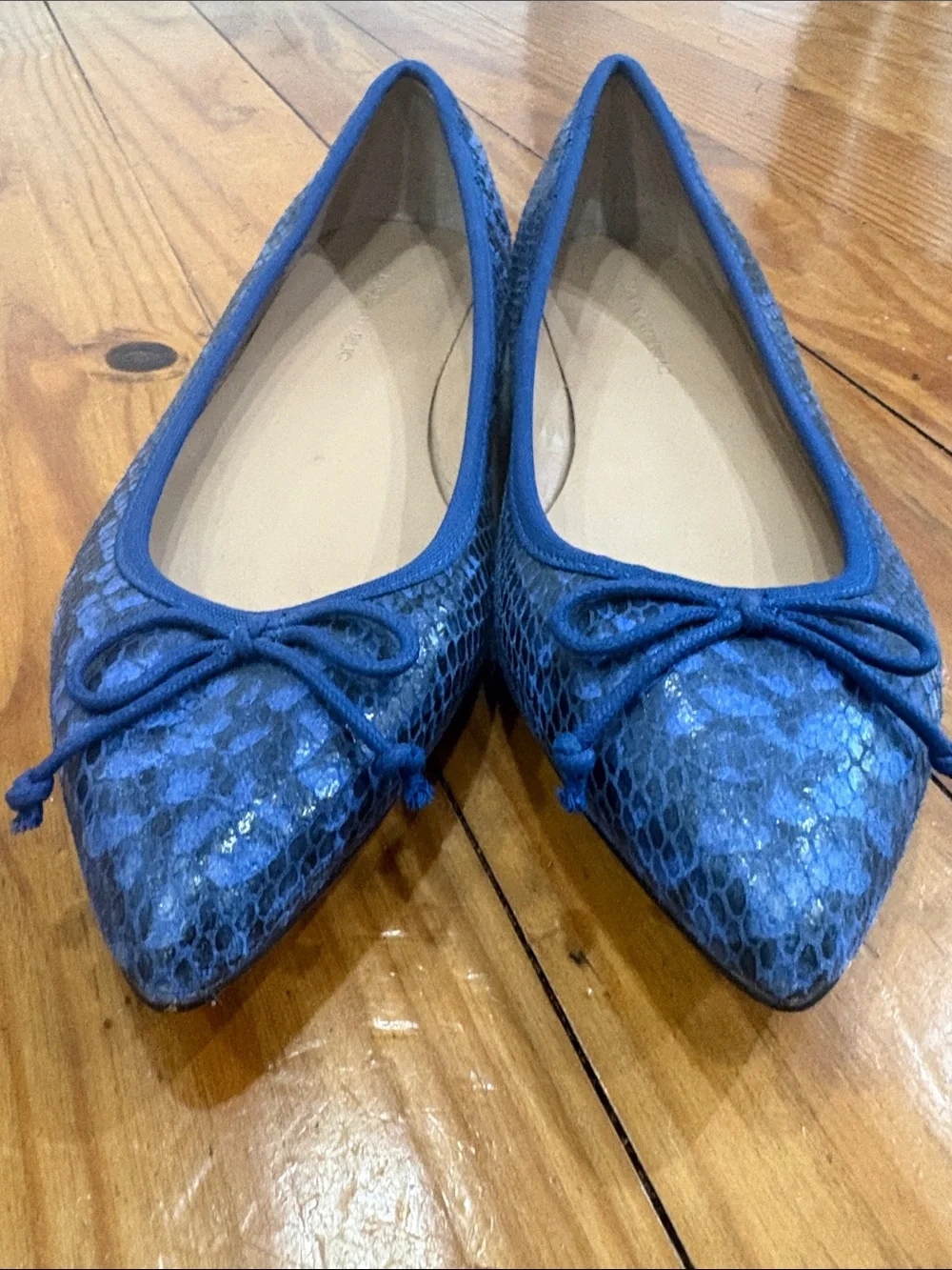 Banana Republic Blue Snake-Print Pointed Ballet Flats